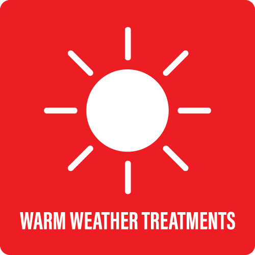 Warm Weather Treatments